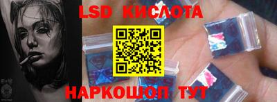 прущие грибы Будённовск