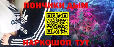 прущие грибы Будённовск
