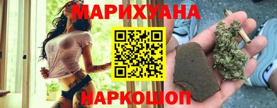 прущие грибы Будённовск