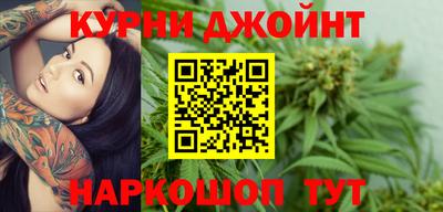 прущие грибы Будённовск