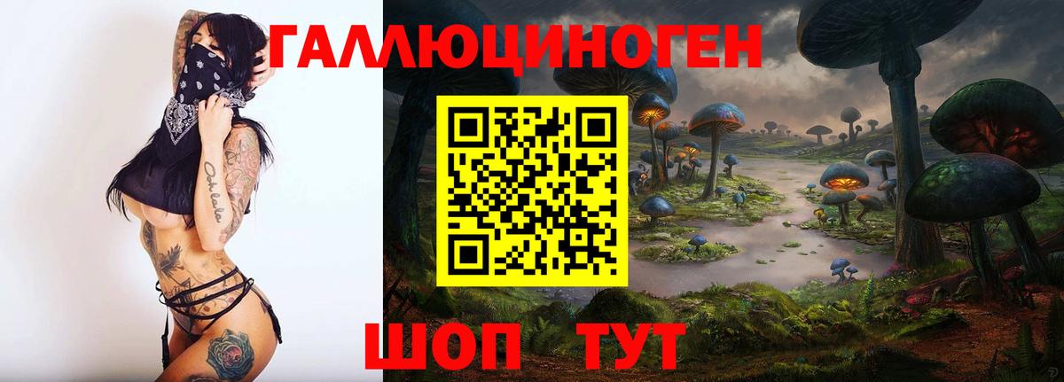 Галлюциногенные грибы MAGIC MUSHROOMS  Вход с VPN  Фурманов 