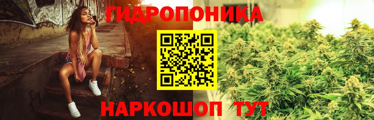 Шишки марихуана White Widow Фурманов